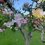 La Collina Degli Scoiattoli B&B 크라반자나