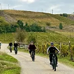 La Collina Degli Scoiattoli B&B 크라반자나
