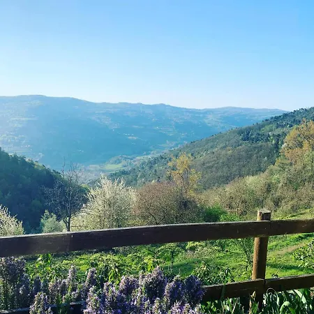 La Collina Degli Scoiattoli Bed & Breakfast 3*